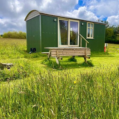 반트리 Stepping Stones Glamping 'The Olive' 빌라 외부 사진
